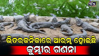 ଭିତରକନିକାରେ ଆରମ୍ଭ ହୋଇଛି କୁମ୍ଭୀର ଗଣନା, ନିୟୋଜିତ ହୋଇଛନ୍ତି ୨୨ଟି ଟିମ୍ | RCN ODIA