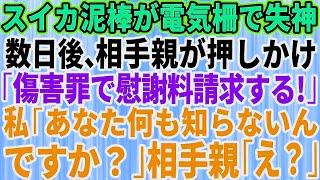 【スカッとする話】スイカ畑に泥棒が押し入り、電流注意の柵に引っ掛かり失神した→数日後、泥棒が親と一緒に家へ押しかけ「慰謝料を払え！」私「あなた何も知らないんですか？」直後【修羅場】