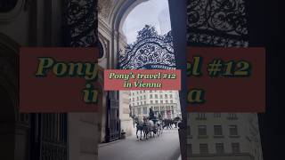 【Pony’s travel #12】in Vienna 音楽の都ウィーンでヨーロッパを存分に味わった❕🎻#ウィーン#オーストリア#海外旅行#留学 #vienna #austria #vlog