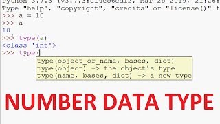 Python Tutorials - Number Data Type in Python