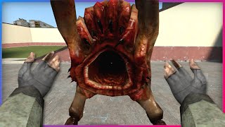 These Mods Make Headcrabs Better | Garry's Mod