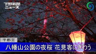 八幡山公園の夜桜 花見客にぎわう 宇都宮