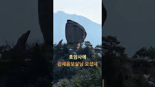 비나이다 비나이다 부처님께 간절함 - 진 보