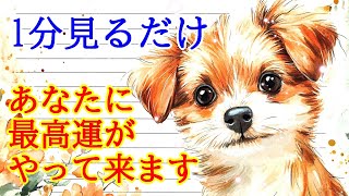 【1分見るだけ】あなたに最高運がやって来る超開運波動417Hzのおまじないヒーリングです