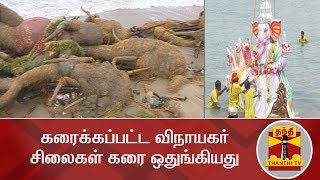 கரைக்கப்பட்ட விநாயகர் சிலைகள் கரை ஒதுங்கியது | Vinayagar