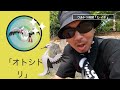 【ポケモンgo】知らなきゃ損！激レア「セビエ」に背筋が凍る！？かわいさmax「パモ＆マメバッタ」＋新規色違い「オトシドリ」は超難関！？結果にコミットする冒険方法の前日確認スペシャル！【パルデア後編】