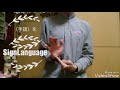 【dogloveなおちゃんのs手話講座】今日は二つ手話を表現してみます.　today i will express two sign language.