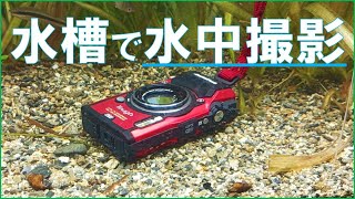 カメラを沈めて直接撮影‼