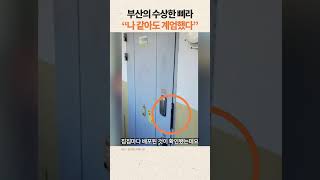 부산의 수상한 삐라! 계엄 해제 찬성은 내란? #윤석열 #계엄령 #부산