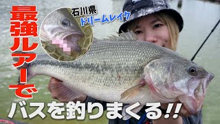 【ドリームレイク】最強ワームでバスを釣りまくる!!【管理釣り場】