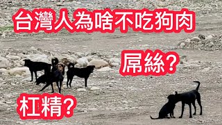 防杠聲明【台灣人為啥不吃狗肉】【杠精屌絲退下】