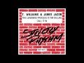 T. Williams & James Jacob - The Learning Process ft Tim Deluxe