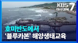 [여기는 포항] 호미반도에서 ’블루카본’ 해양생태교육 / KBS  2022.06.08.