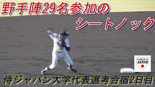 【2020侍ジャパン大学代表選考合宿2日目/野手陣全員参加によるシートノック】2019/12/01侍ジャパン大学代表候補選手