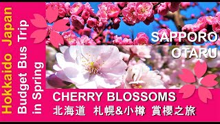 HOKKAIDO X / SAMPLE ITINERARY/ CHERRY BLOSSOMS in SAPPORO \u0026 OTARU / 北海道X / 行程様本 / 小樽 \u0026 札幌 / 賞櫻花之旅