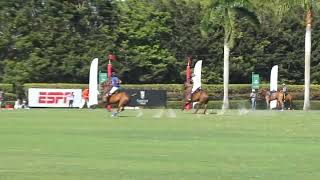 Scoring a goal in Polo, USPA gold cup final