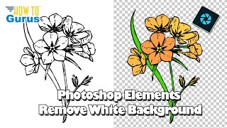 Photoshop Elements Remove White Background Project for Beginners COMPLETE