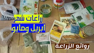 ممكن ازرع ايه في شهر أبريل ومايو ويونية 4 و 5 و 6 || اهم ما يزرع في الصيف