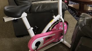 Sunny Health & Fitness P8100 Indoor Cycling Bike Review