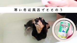 【ととのう】散歩で汚れた寒い日は湯船に浸かる、どうだ至福であろう