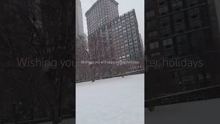 White Christmas in nyc #newyork #christmas #merrychristmas #cuteanimals #snow #雪 #ニューヨーク #クリスマス