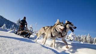 [Doku] Im Bann des Yukon (2) Von Dawson nach Fairbanks - Mit Hundeschlittenführern durch Alaska [HD]