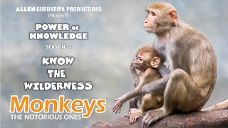 Monkeys - The Notorious Ones | Power Of Knowledge | Know The Wilderness |