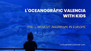 L’oceanogràfic Valencia With Kids | The Largest Aquarium \u0026 Marine Park in Europe