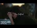 Evelyn Starlight - Too Selfish (official music video)