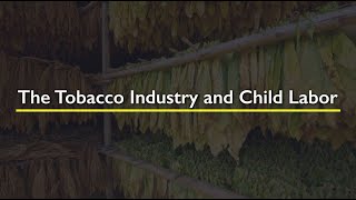 Tobacco Industry and Child Labor