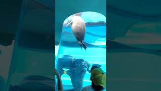 海洋世界海之中道MarineWorld マリンワールド(1)