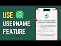 How To Use WhatsApp Username Feature (2026 Update Guide)