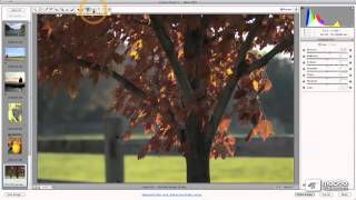 Photoshop CS5 104: Mastering Adobe Camera Raw 6 - 4 User Interface at a Glance