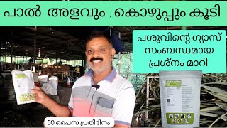 Jumbo ലായിനി / പാലിന്റെ അളവും, കൊഴുപ്പും കൂടി, പശുവിന്റെ ഗ്യാസ് സംബന്ധമായ പ്രശ്നം മാറി,