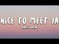 Download Niall Horan Nice To Meet Ya mp3