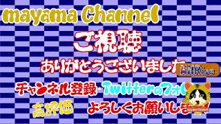 【　😀 　参加型 　モンスターハンターライズ😀  】初心者が楽しく狩りをしたい、できれば(限界 規格外)金冠もほしい配信　370回目 🔰　あけおめで規格外ビシュテンゴを出したい【まったり楽しく配信】