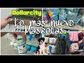 Lo más nuevo  en DOLLARCITY MASCOTAS 🐕🐈tour COMPLETO/I parte Tour #dollarcity 🐾