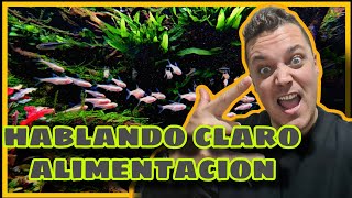 ALIMENTACION PECES ACUARIO GUIA COMPLETA // POV FABRICANTE Y DISTRIBUIDOR// QUE COMIDA USAR