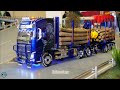 STUNNING RC TAMIYA VIKINGS VOLVO FH16 WOOD TRANSPORTER