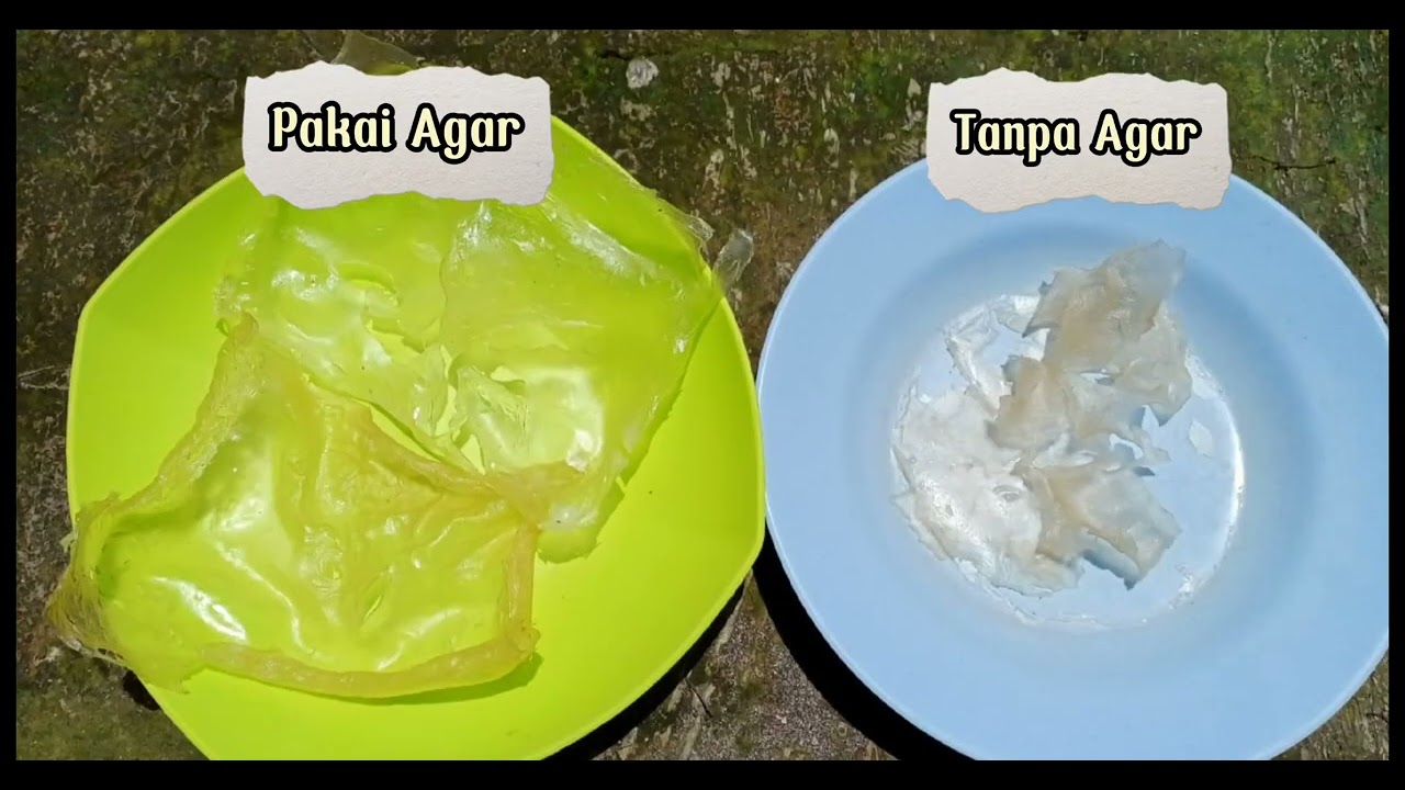 Pembuatan Bioplastik (Biodegradable) - YouTube