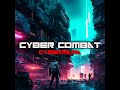 cyber combat