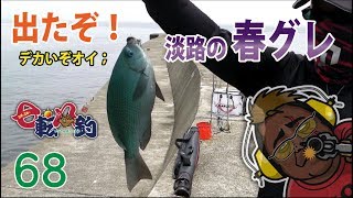 春グレ梅雨グレは 手返し手返し！同じ事するな！　７の４　七転八釣