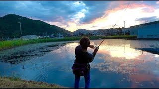 【入れ食い】黒い棒が無限に釣れる⁈秋のストロング攻め。