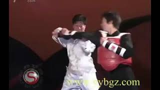 YinYang Baguazhang: Demonstration of Tiger Form application