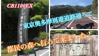 【CB1100EX】5/5 GOGO！こどもの日に奥多摩周遊道路～都民の森へ　還暦+1爺のMOTOVLOG＃91 #奥多摩周遊道路　#都民の森　#檜原村