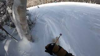 Glades on a POWDER DAY at Wildcat Mountain