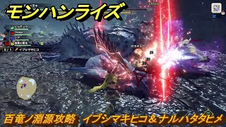 モンハンライズサンブレイク　百竜ノ淵源攻略　イブシマキヒコ＆ナルハタタヒメ　【MHRISE】