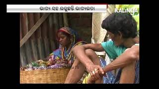 Poor Ganjam woman living under polythene sheet awaits grants under govt scheme  || Kalinga TV