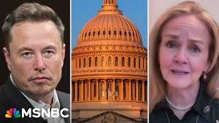 ‘Not the way it’s supposed to work!’: Rep. Dean emphasizes Congress’s budget power, not Musk’s