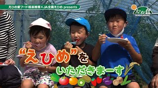 【“えひめ”をいただきまーす！】愛媛の美味しい夏野菜をご紹介します！